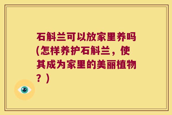 石斛兰可以放家里养吗(怎样养护石斛兰，使其成为家里的美丽植物？)