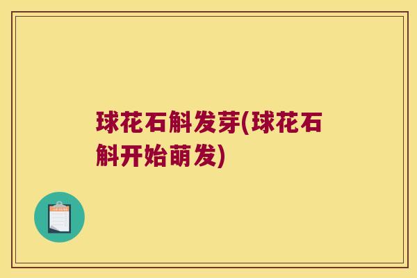 球花石斛发芽(球花石斛开始萌发)