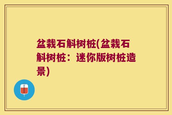 盆栽石斛树桩(盆栽石斛树桩：迷你版树桩造景)