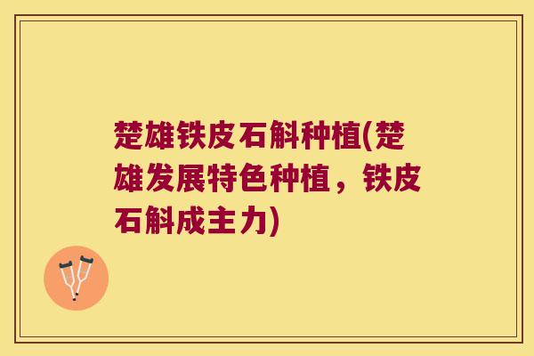 楚雄铁皮石斛种植(楚雄发展特色种植，铁皮石斛成主力)
