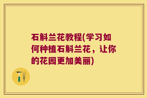石斛兰花教程(学习如何种植石斛兰花，让你的花园更加美丽)