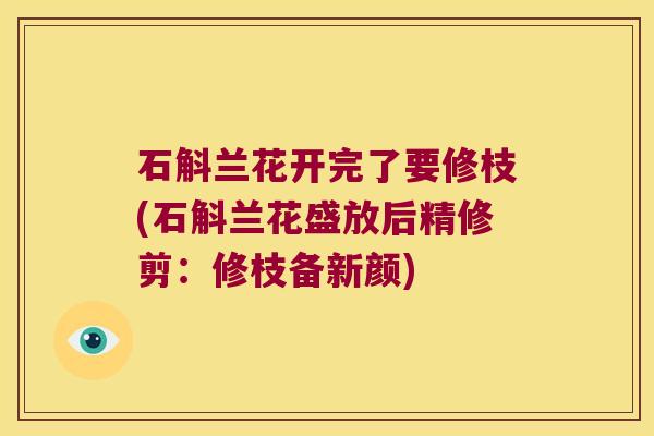 石斛兰花开完了要修枝(石斛兰花盛放后精修剪：修枝备新颜)
