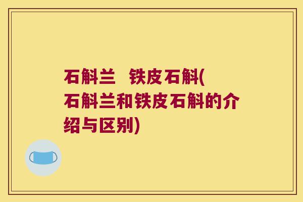 石斛兰  铁皮石斛(石斛兰和铁皮石斛的介绍与区别)