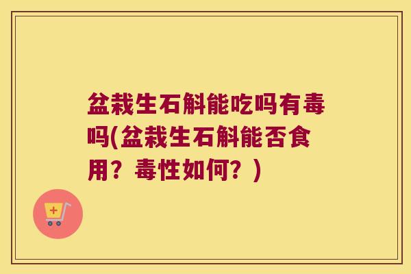 盆栽生石斛能吃吗有毒吗(盆栽生石斛能否食用？毒性如何？)