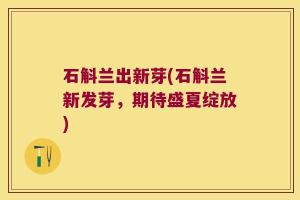 石斛兰出新芽(石斛兰新发芽,期待盛夏绽放) 石斛兰出新芽(石斛兰新发芽,期待盛夏绽放)