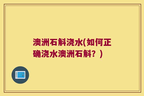 澳洲石斛浇水(如何正确浇水澳洲石斛？)