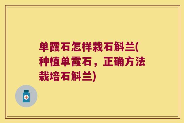 单霞石怎样栽石斛兰(种植单霞石，正确方法栽培石斛兰)