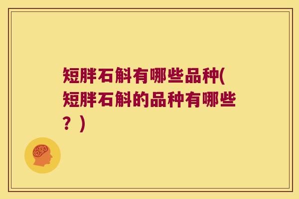 短胖石斛有哪些品种(短胖石斛的品种有哪些？)