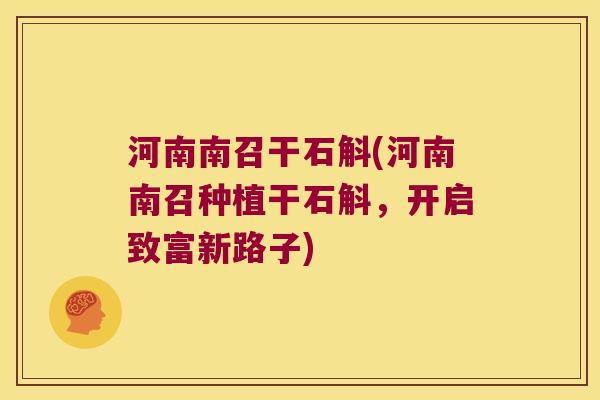 河南南召干石斛(河南南召种植干石斛，开启致富新路子)