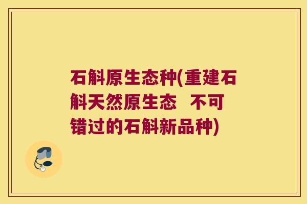 石斛原生态种(重建石斛天然原生态  不可错过的石斛新品种)