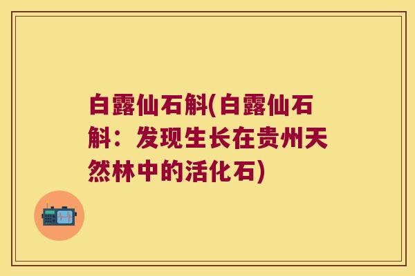 白露仙石斛(白露仙石斛：发现生长在贵州天然林中的活化石)
