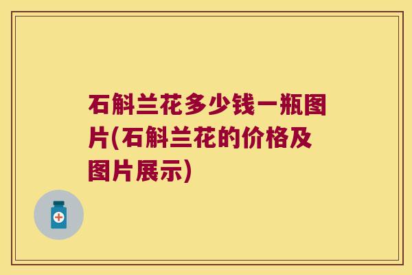 石斛兰花多少钱一瓶图片(石斛兰花的价格及图片展示)