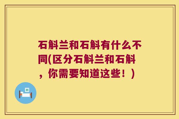 石斛兰和石斛有什么不同(区分石斛兰和石斛，你需要知道这些！)