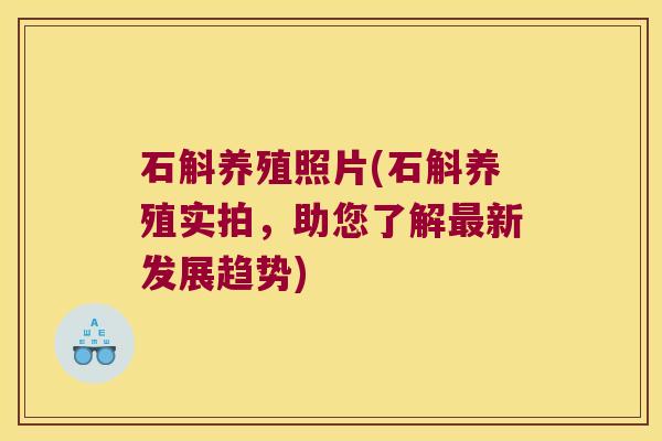 石斛养殖照片(石斛养殖实拍，助您了解新发展趋势)