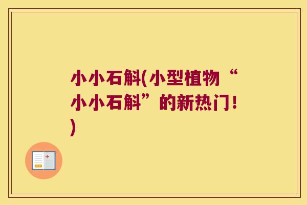 小小石斛(小型植物“小小石斛”的新热门!) 小小石斛(小型植物“小小石斛”的新热门!)