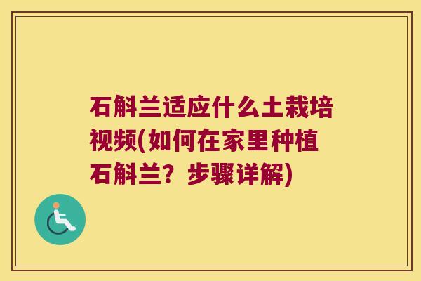 石斛兰适应什么土栽培视频(如何在家里种植石斛兰?步骤详解) 石斛兰适应什么土栽培视频(如何在家里种植石斛兰?步骤详解)