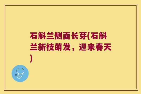 石斛兰侧面长芽(石斛兰新枝萌发，迎来春天)