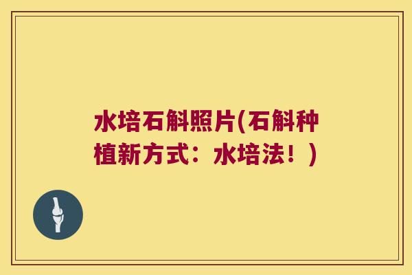 水培石斛照片(石斛种植新方式:水培法!) 水培石斛照片(石斛种植新方式:水培法!)