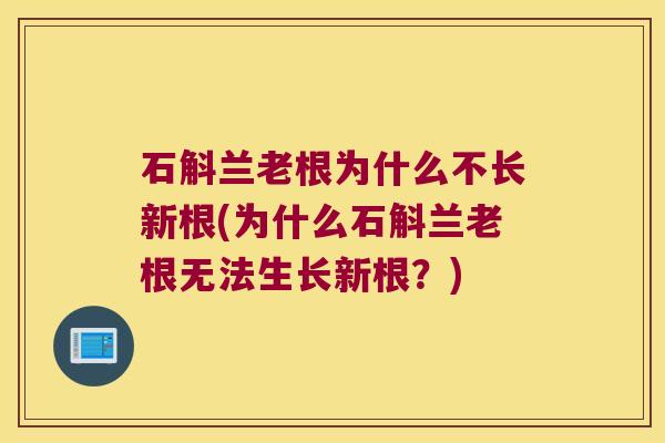 石斛兰老根为什么不长新根(为什么石斛兰老根无法生长新根？)