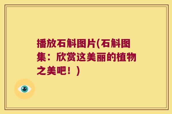 播放石斛图片(石斛图集：欣赏这美丽的植物之美吧！)