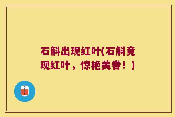 石斛出现红叶(石斛竟现红叶，惊艳美眷！)
