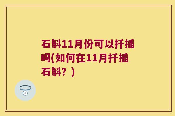 石斛11月份可以扦插吗(如何在11月扦插石斛？)
