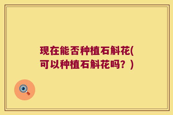 现在能否种植石斛花(可以种植石斛花吗?) 现在能否种植石斛花(可以种植石斛花吗?)