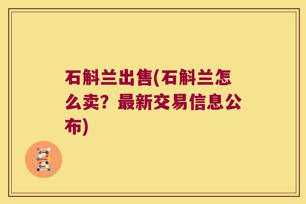 石斛兰出售(石斛兰怎么卖？最新交易信息公布)