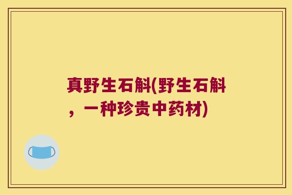 真野生石斛(野生石斛，一种珍贵中药材)