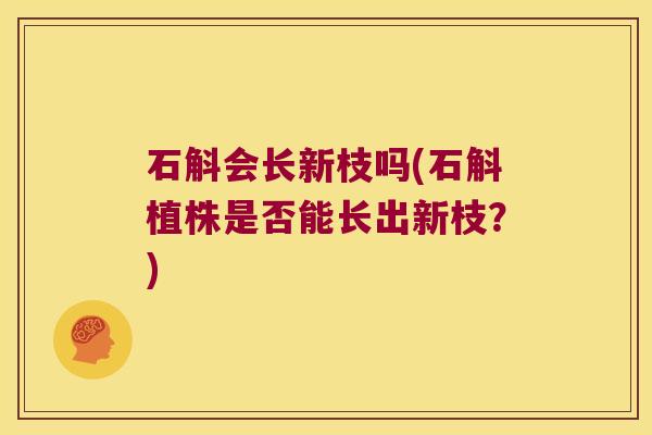石斛会长新枝吗(石斛植株是否能长出新枝？)