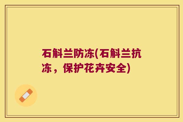 石斛兰防冻(石斛兰抗冻，保护花卉安全)