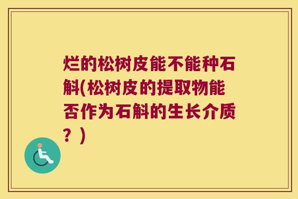 烂的松树皮能不能种石斛(松树皮的提取物能否作为石斛的生长介质？)