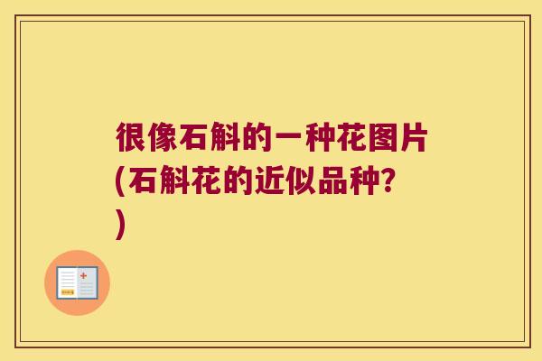 很像石斛的一种花图片(石斛花的近似品种？)