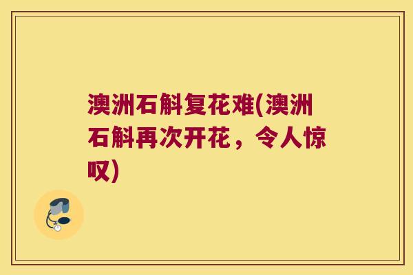 澳洲石斛复花难(澳洲石斛再次开花，令人惊叹)