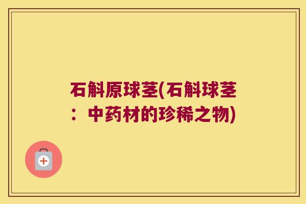 石斛原球茎(石斛球茎：材的珍稀之物)