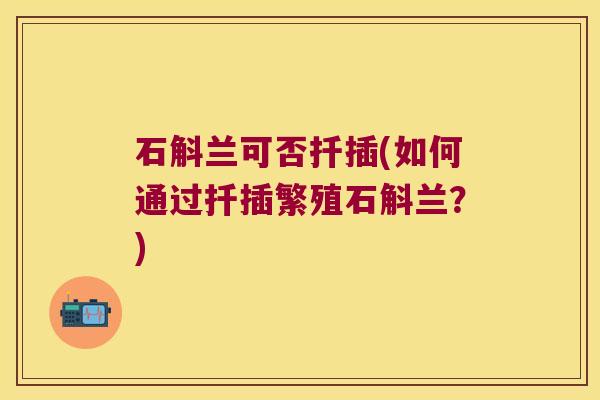 石斛兰可否扦插(如何通过扦插繁殖石斛兰？)