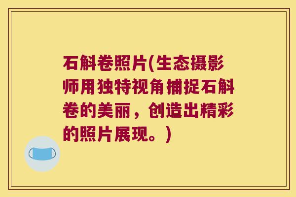石斛卷照片(生态摄影师用独特视角捕捉石斛卷的美丽，创造出精彩的照片展现。)