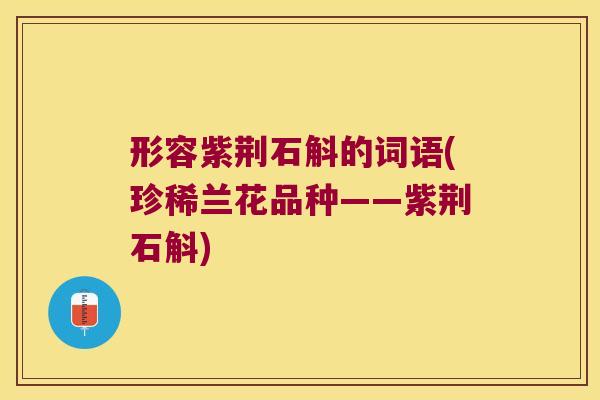 形容紫荆石斛的词语(珍稀兰花品种——紫荆石斛)