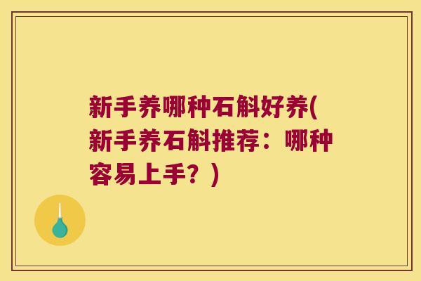 新手养哪种石斛好养(新手养石斛推荐：哪种容易上手？)