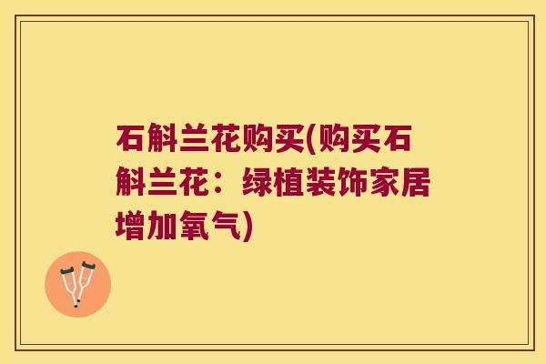 石斛兰花购买(购买石斛兰花：绿植装饰家居增加氧气)