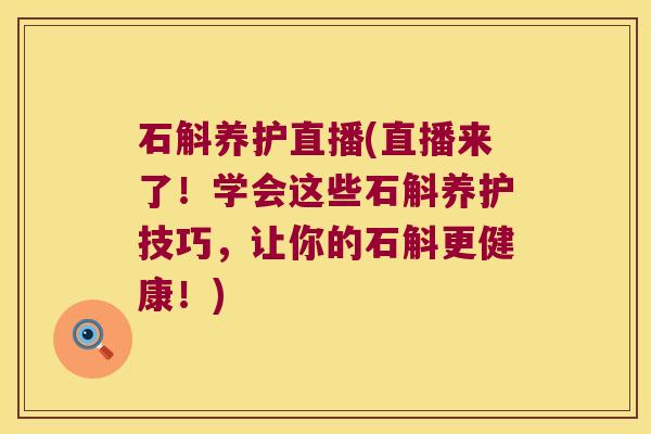 石斛养护直播(直播来了！学会这些石斛养护技巧，让你的石斛更健康！)