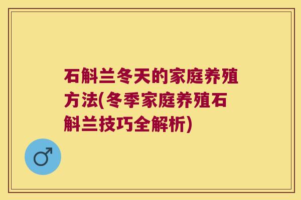 石斛兰冬天的家庭养殖方法(冬季家庭养殖石斛兰技巧全解析)