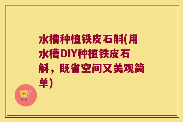 水槽种植铁皮石斛(用水槽DIY种植铁皮石斛，既省空间又美观简单)
