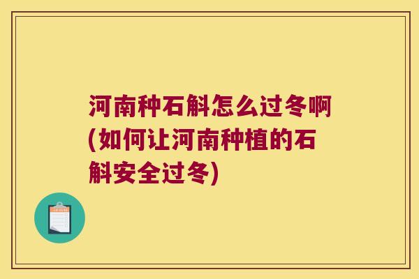 河南种石斛怎么过冬啊(如何让河南种植的石斛安全过冬)
