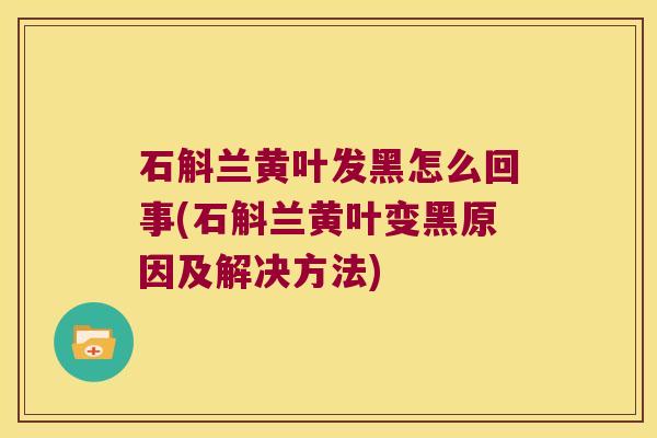 石斛兰黄叶发黑怎么回事(石斛兰黄叶变黑原因及解决方法)