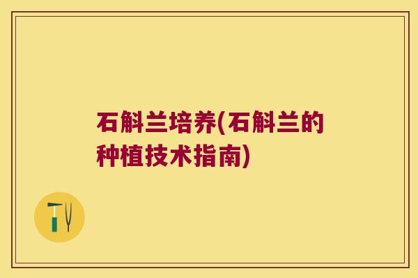 石斛兰培养(石斛兰的种植技术指南)