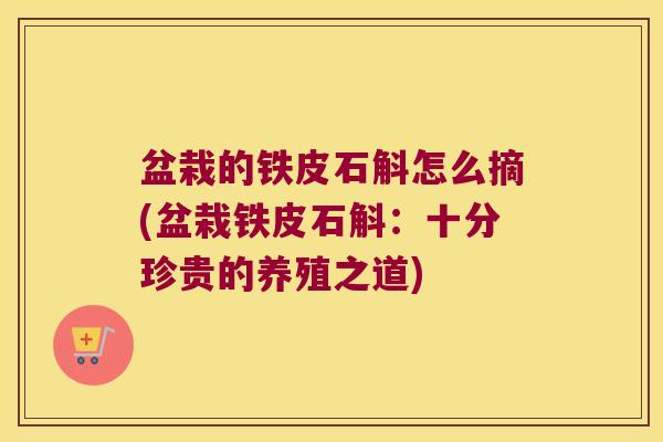 盆栽的铁皮石斛怎么摘(盆栽铁皮石斛：十分珍贵的养殖之道)