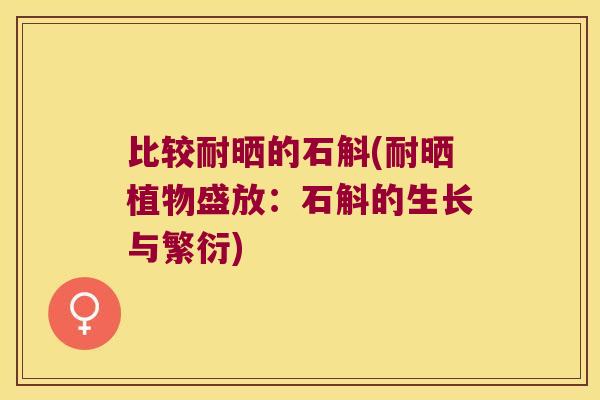 比较耐晒的石斛(耐晒植物盛放：石斛的生长与繁衍)