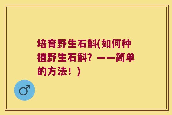 培育野生石斛(如何种植野生石斛？——简单的方法！)
