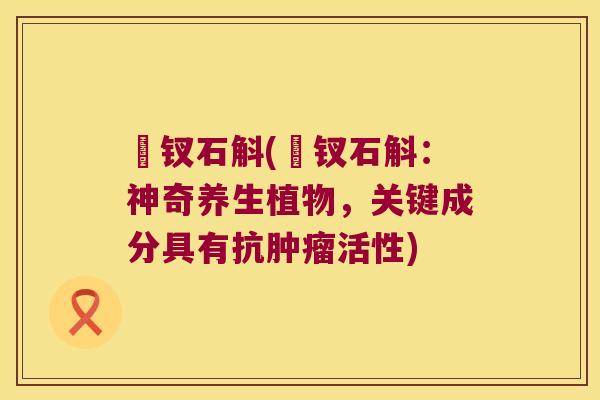 琻钗石斛(琻钗石斛：神奇养生植物，关键成分具有抗活性)